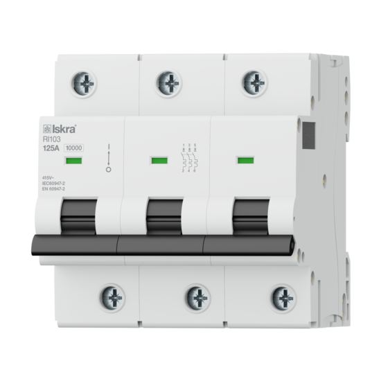 Miniature Circuit Breakers RI100